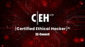 Certified Ethical Hacker (CEH) v13 AI (Bundle offer)