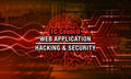 Web Application Hacking & Security (Bundle offer)